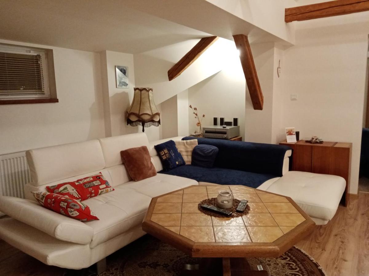 Apartment Krkonosska Tanvald Eksteriør billede